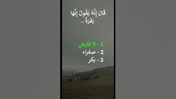 سورة البقرة 68