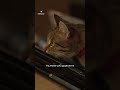 Головний інженер бригади «Помста» ДПСУ/ hromadske