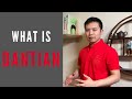 Qi gong qa 1 what is dantian