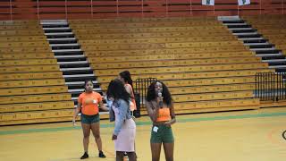 FEDS Tryouts Fall 2018