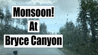 Bryce Canyon Scenic Drive Viewpoints - The WORST Rain and Hail we have ever driven through