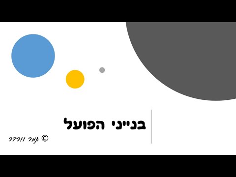 וִידֵאוֹ: איזו צורת קאטלט נכונה - אליפסה או עגולה