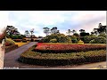 鹿児島県立吉野公園の紅葉