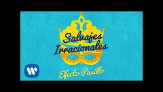 Video voorbeeld van "Efecto Pasillo - Salvajes Irracionales (Official Audio)"