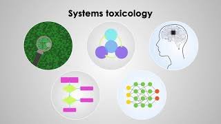 Systems Toxicology integrates toxic effects from human cells to population
