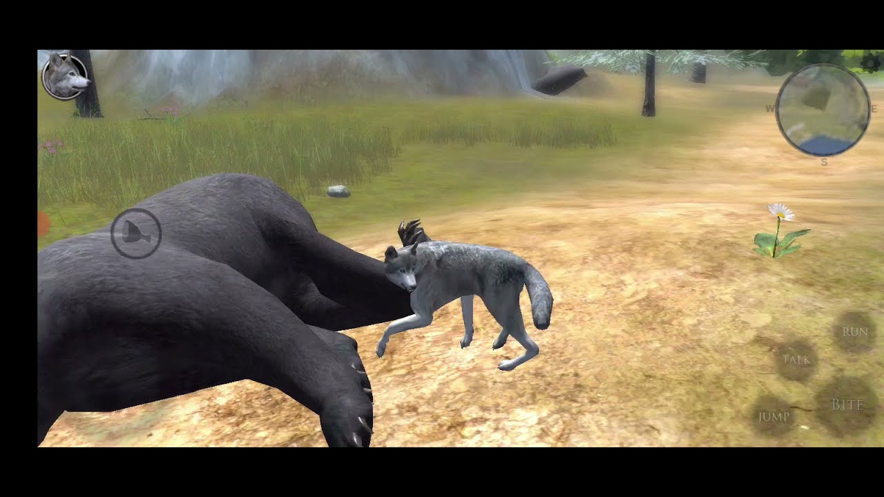 Wolf vs Crocodile,Bear,Ram,Fox, Boar,Deer,Ultimate Wolf Simulator 2 ...