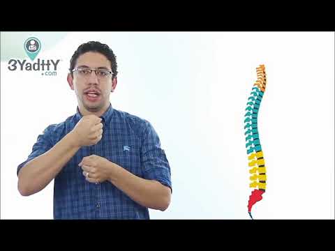 اسباب وعلاج انزلاق الغضروف بدون جراحة