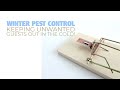 Winter pest control keeping unwanted guests out in the cold