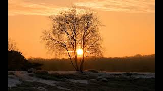 Belki Yillar Sonra Dursun Salkim