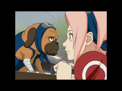 Pakkun isn't a cute puppy - Naruto