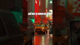 Download Lagu Si no es contigo Cris Mj MP3 Download Lagu Si no es contigo Cris Mj MP3