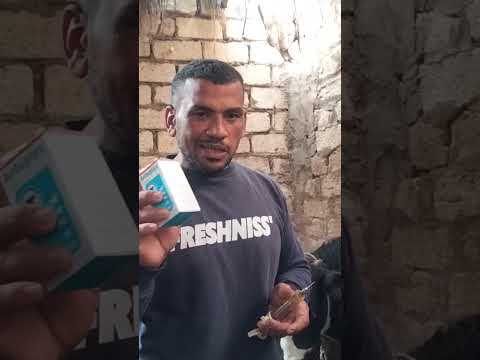 الفيتامينات تساعد على نمو العضلات عند العجول