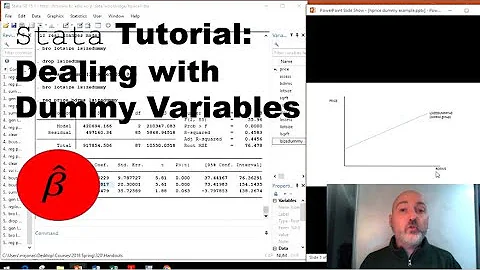 Stata Tutorial: Dealing with Dummy Variables