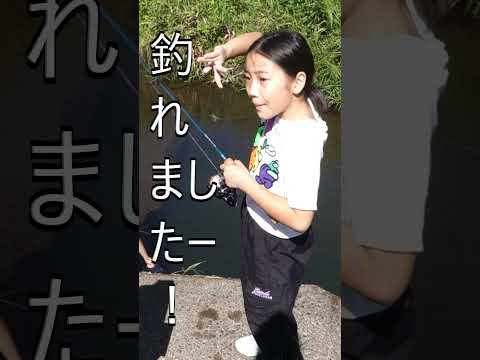魚肉ソーセージで釣り。#Shorts