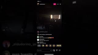 View MGMT Live Performance of Grutu at White Oak Concert