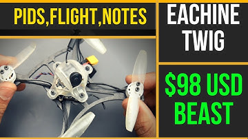 ToothPick Class Killer, Meet The Twig // Eachine Twig 115mm