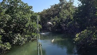 Where'd The Fish Go? by Key West Kayak Fishing 4,347 views 3 months ago 18 minutes
