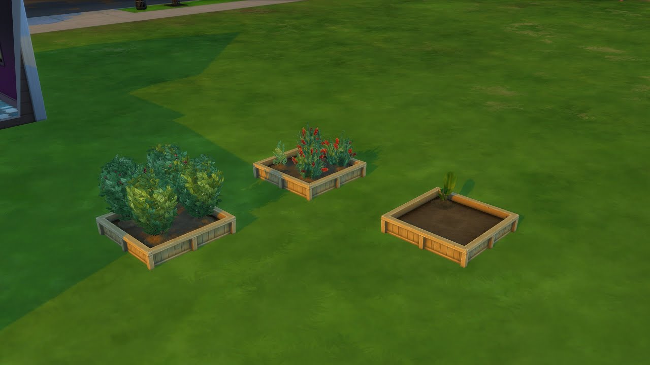 The Sims 4: How To Get Dragonfruit - YouTube