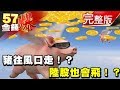 豬農得救！？陸股曙光！？生豬期貨來了《５７金錢爆》2018.0313