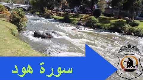 سورة هود وسورة الفاتحة  الشيخ محمد سمير من صلاة فجر اليوم