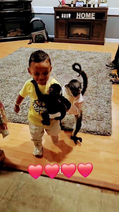 Julia, Rafaelito and Jorgito 🐒🐒🐒❤️ #corridos #music #julia