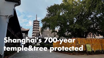 Shanghai