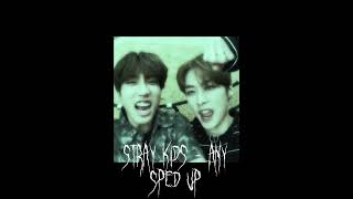 Stray Kids - Any {sped up}