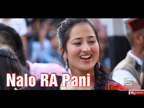 NALO ra PANI Song Himchali Hit song  Vicky Rajta  Saraj Valley Function 2019