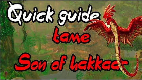 WoW Classic - How to tame a son of hakkar solo!