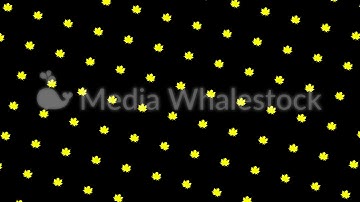 Green maple leaves flowing upwards on black background, seamless loop. Animation. Monochrome motion