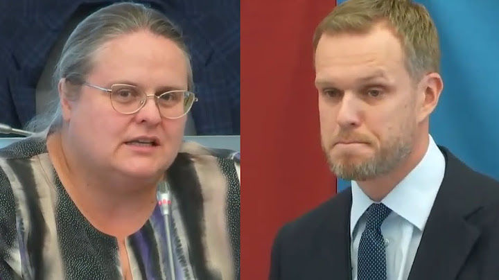 Širinskienė klausia Landsbergio: "Kiek sumokėjote nekilnojamo turto mokesčio?"