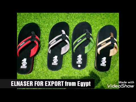ELNASER FOR EXPORT From Egypt