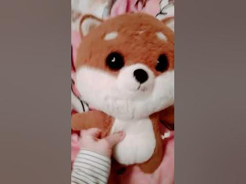 и это собака Ника! - YouTube