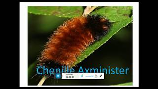 chenille axminster pile fabrics