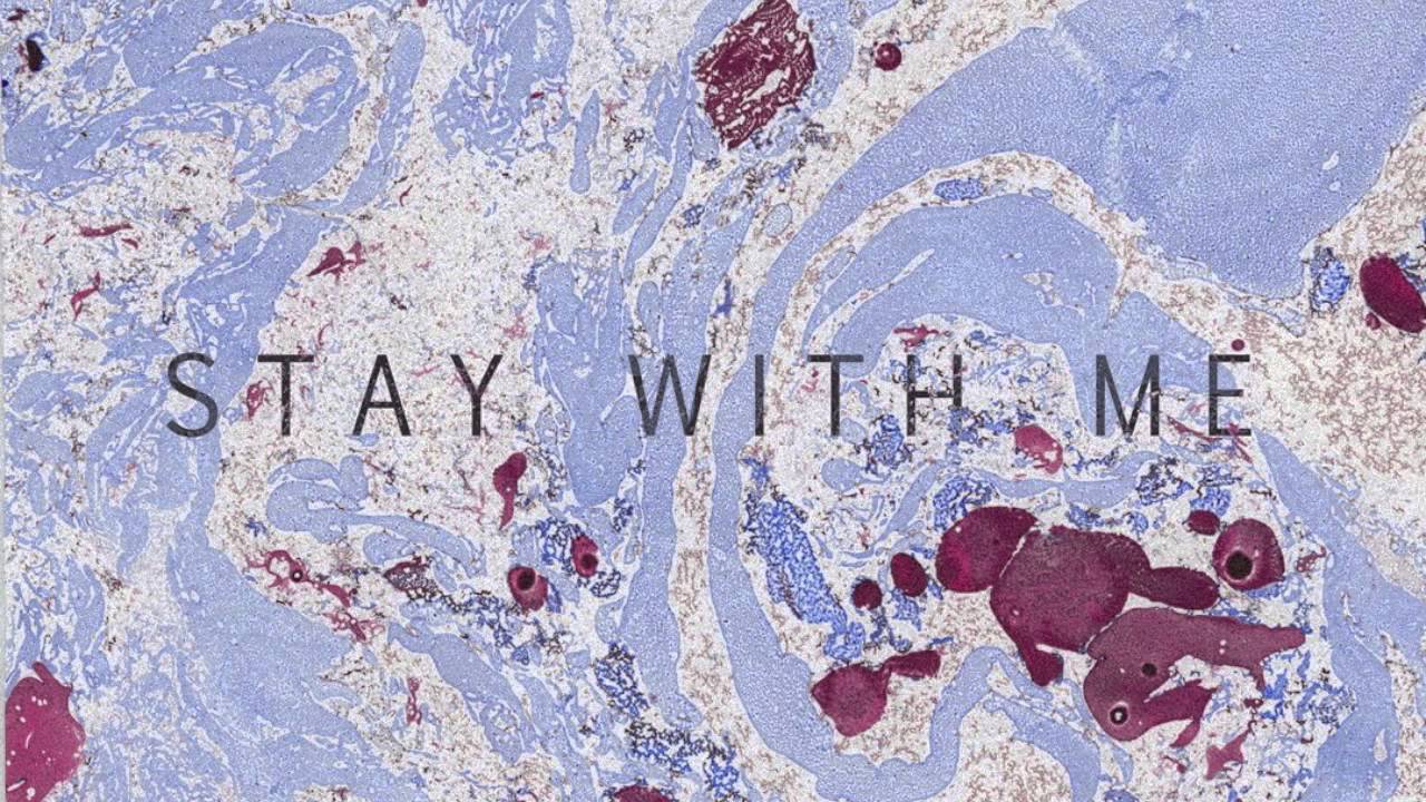 Roo Panes - Stay With Me accords