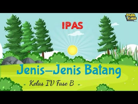 Video: Apa itu bentuk batang pohon?