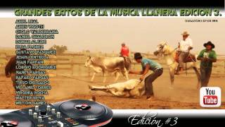 Musica llanera Solo éxitos edición 3.