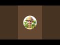 🔴 LIVE CARTOON ANIMATION