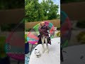 Rex went outside