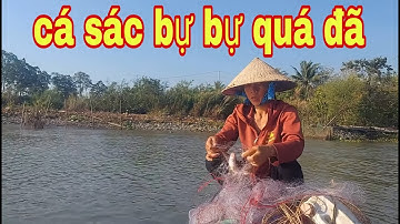 Hừng Sáng Đẹp Trời Hai Mẹ Con Đi Thăm Lưới Với Những Con Cá Sác Bự Dính Lưới # SĂN BẮT ĐỒNG THÁP #