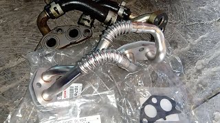 toyota aurion oil cooler hose replacement  (2gr engine)