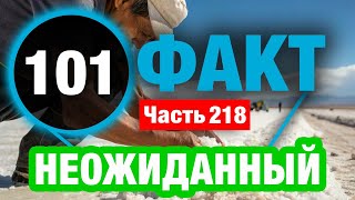 видео: 101 ОПУПИТЕЛЬНЫЙ  Факт О Котором Вы Не Знали картинка: 101 ОПУПИТЕЛЬНЫЙ  Факт О Котором Вы Не Знали