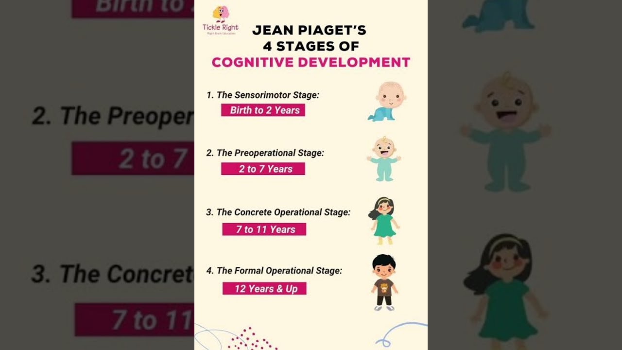 Piaget Theory Of Cognitive Development 4 Stages