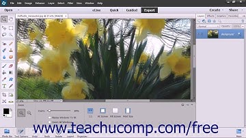 Photoshop Elements 13 Tutorial Moving the Image Adobe Training