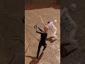 Gladio Mori - Daily Duel