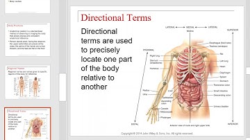 NU Bio 201 Intro to Human Body