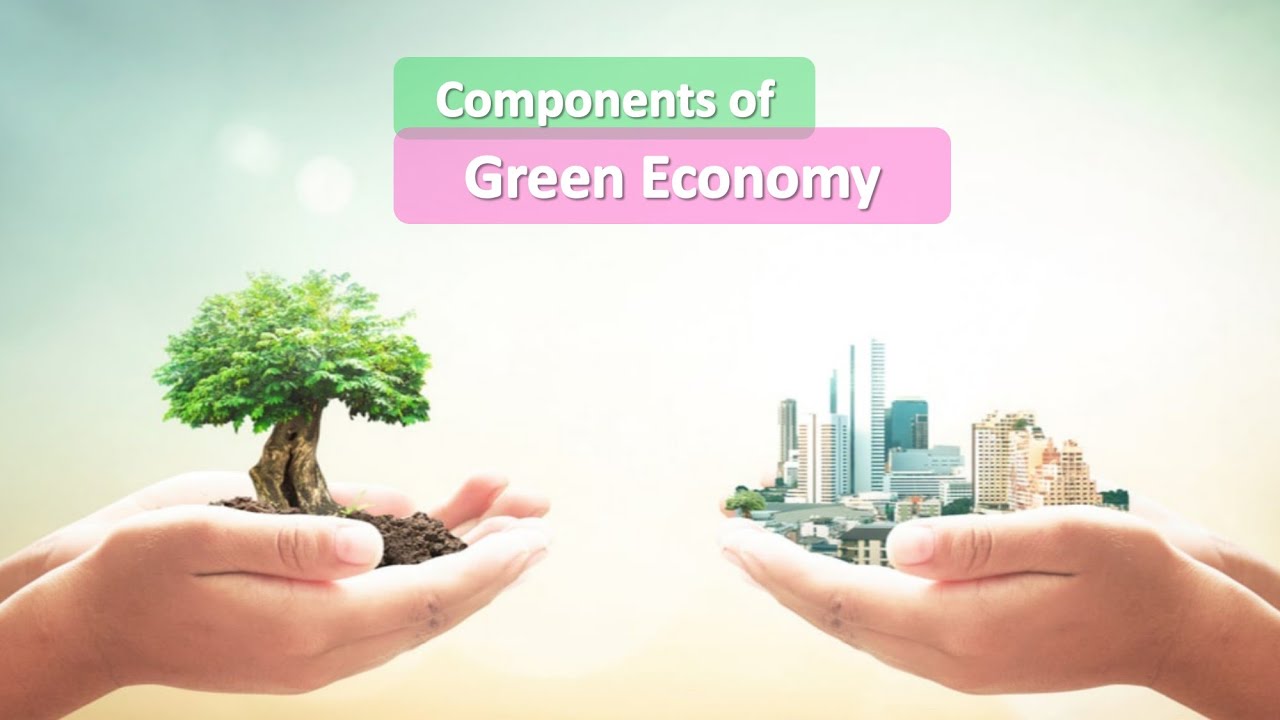 Environment value. Зеленая экономика. Устойчивое развитие иллюстрация. Устойчивое развитие в экологии. Концепция устойчивого развития фото.