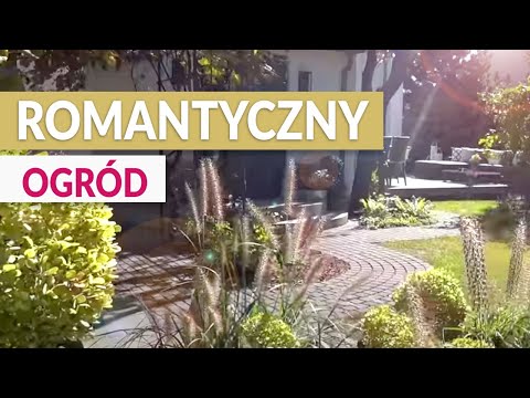 Video: Burbono Rožės