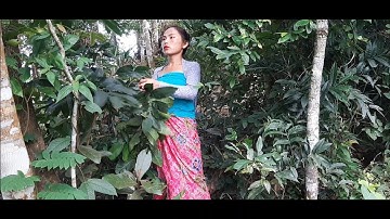 Poj niam siab phem deev hmoob#3