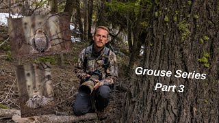 WILDLIFE PHOTOGRAPHY - PHOTOGRAPHING RUFFED GROUSE in the forest, ethical GROUSE PHOTOGRAPHY basics